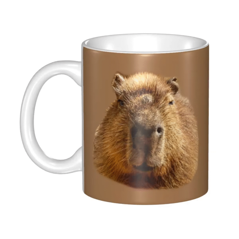 The uniqueness of the present is the combination of the capybara and personality - Image 2