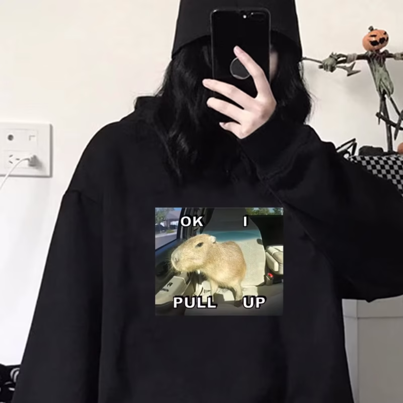 Hoddie Manga Comic Capybara Hoodie Y2K Japanese Kawaii Patterned Women’s Sweatshirts. - Image 2