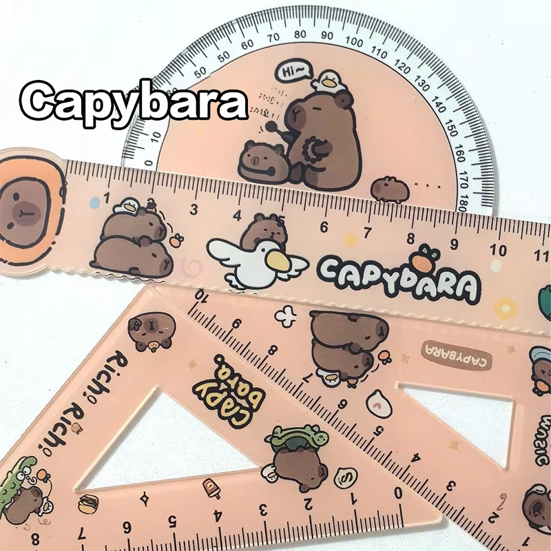 Student Stationery: Set of 4 Capybara Drawing Acrylic Rulers - Image 6