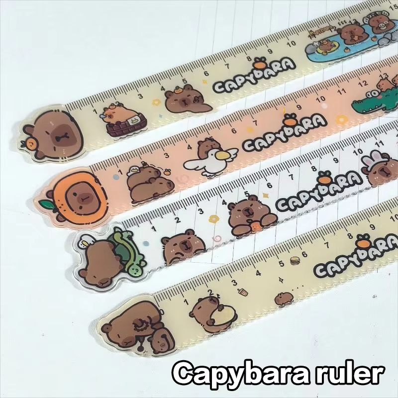 Student Stationery: Set of 4 Capybara Drawing Acrylic Rulers - Image 3