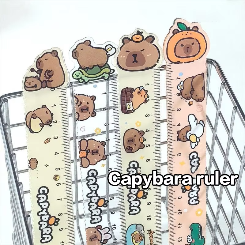 Student Stationery: Set of 4 Capybara Drawing Acrylic Rulers - Image 2