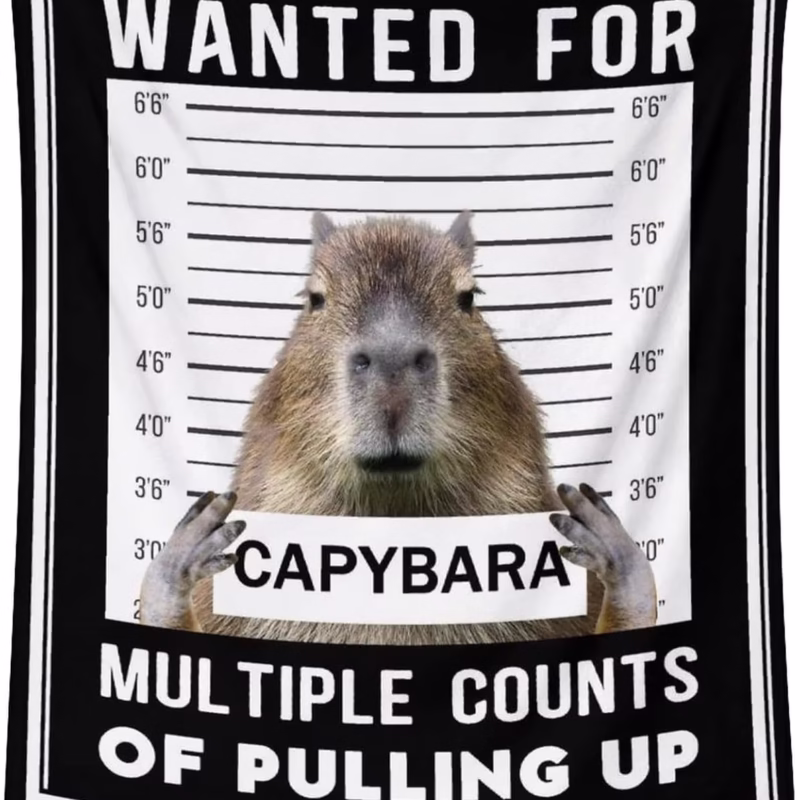 The Travel-Friendly Capybara Plush Blanket is an 80x60-inch generously sized throw that is both comfortable and charming, allowing you to be warm and stylish on the go